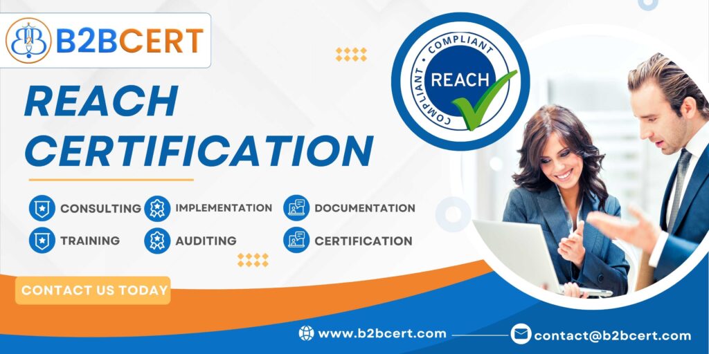 REACH Consultants in Bangalore