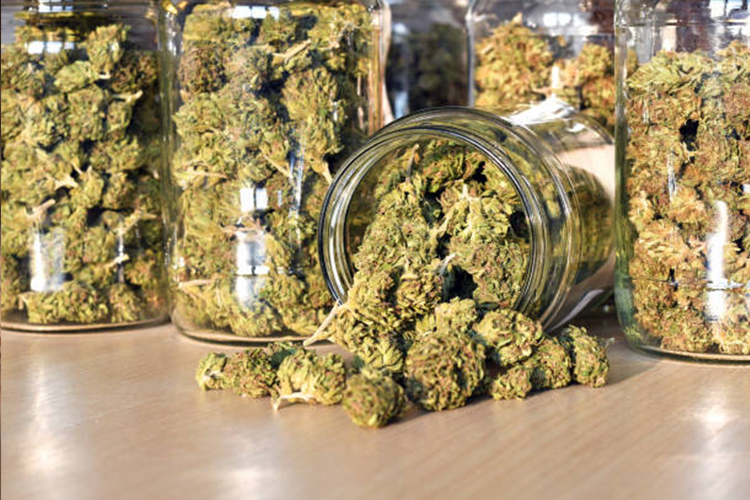 How to Choose the Best Cannabis Dispensary in Brooklyn