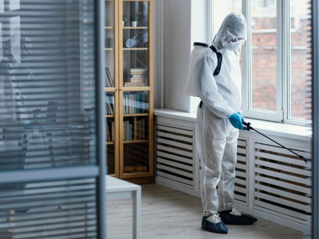A Guide to Mold Remediation For Your St. Petersburg Home