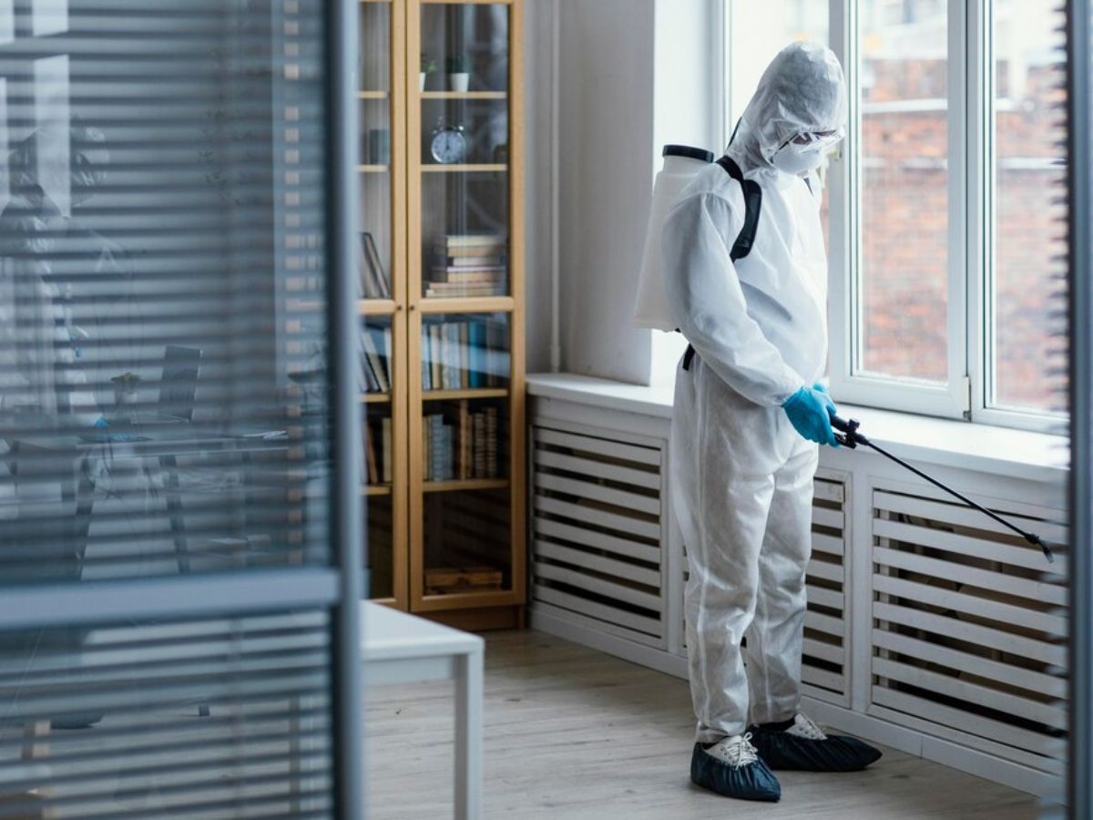 A Guide to Mold Remediation For Your St. Petersburg Home