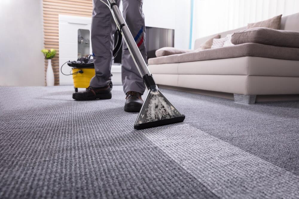 Professional Carpet Cleaning: The Key to Carpet Care