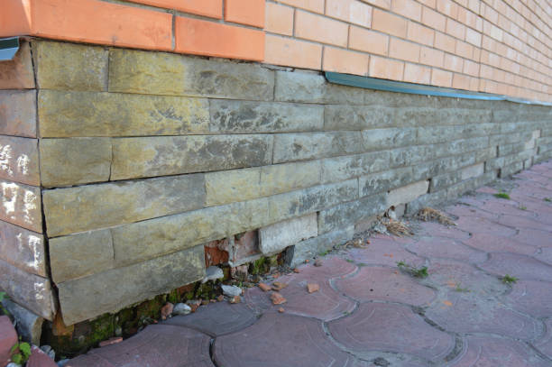 How Can I Remove Efflorescence from Different Surfaces?