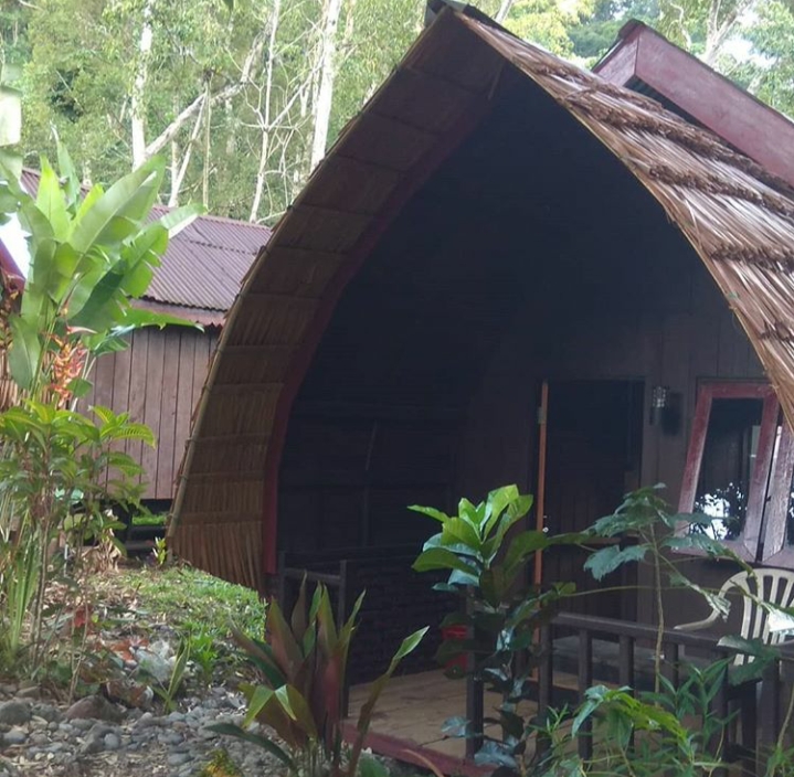 10 Must-Visit National Parks in Indonesia