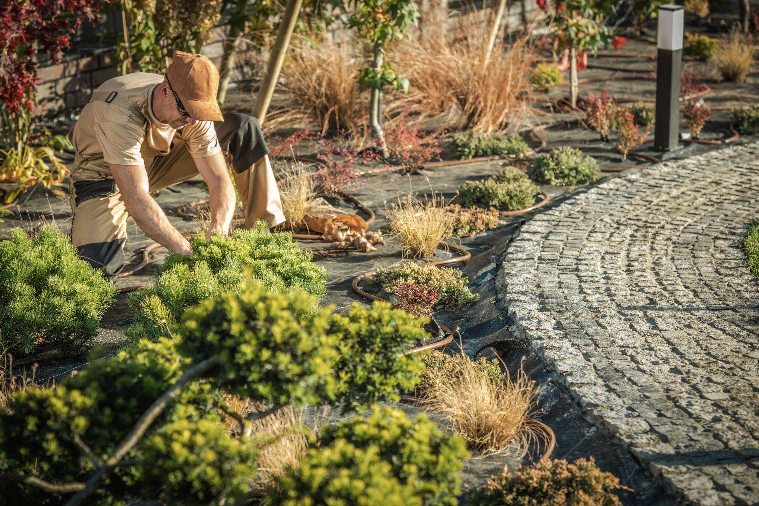 The History of Landscaping in Cambridge