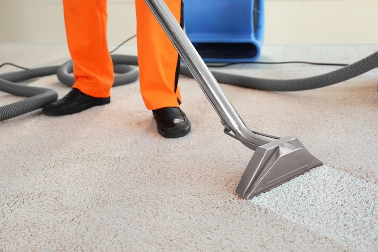 New PostProfessional Carpet Cleaning: Enhancing Comfort and