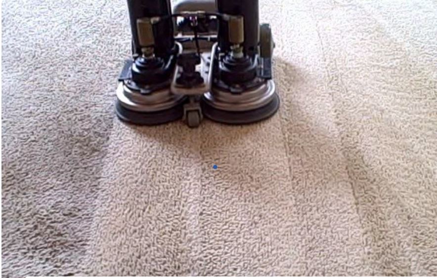 Best Time for Carpet Cleaning in Ames, Iowa