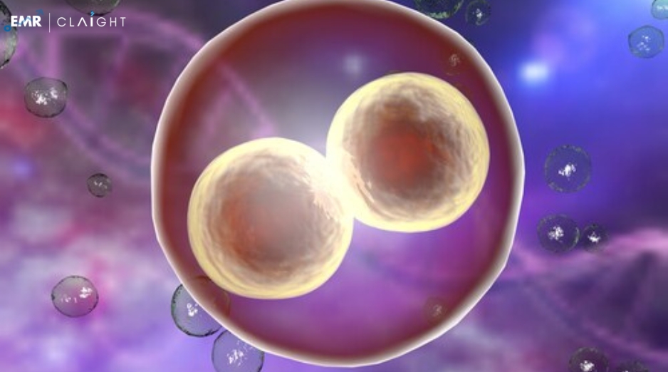 Global Human Embryonic Stem Cell Market Size, Analysis