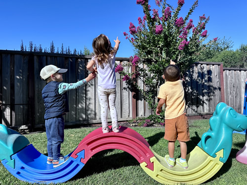 Montessori Infant Daycare in Novato: Nurturing Early Development