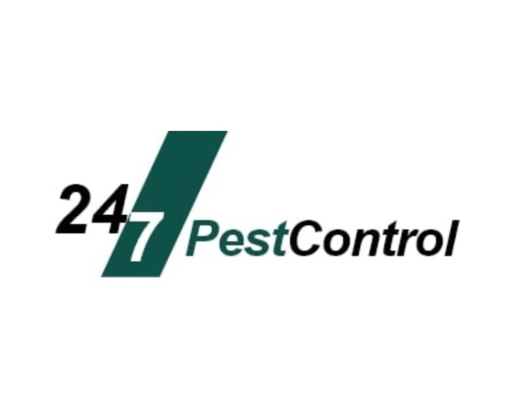 24/7 Pest Control Twickenham