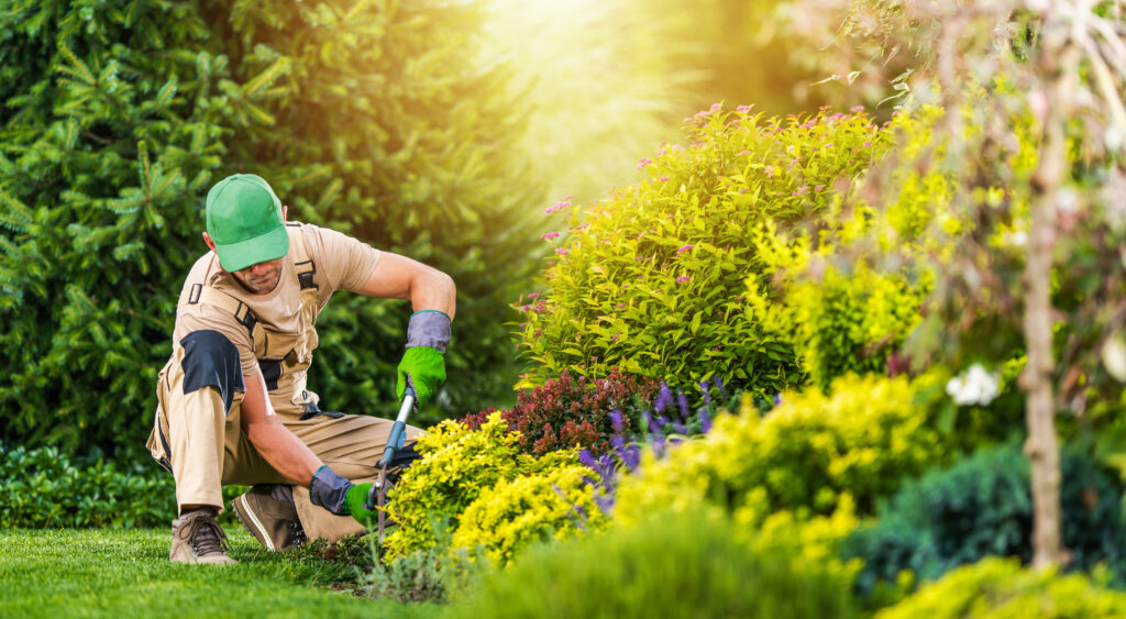 Keeping Landscapes Safe in Reading and St. Louis MO