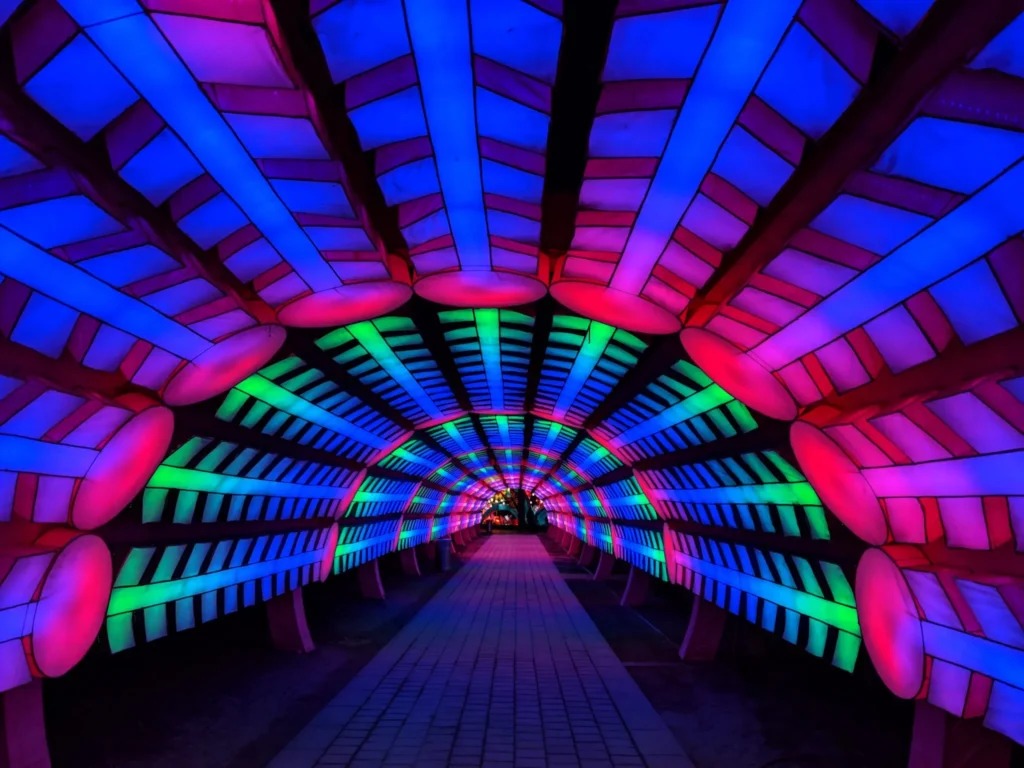 Dubai Garden Glow: A Wonderland of Light and Imagination