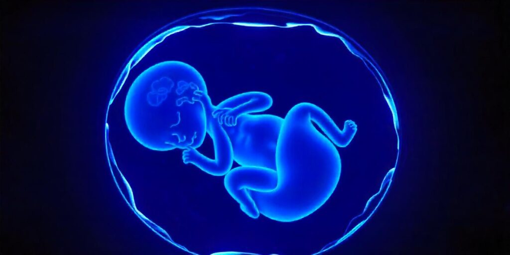 How an NT Scan Helps in Early Detection of Down Syndrome