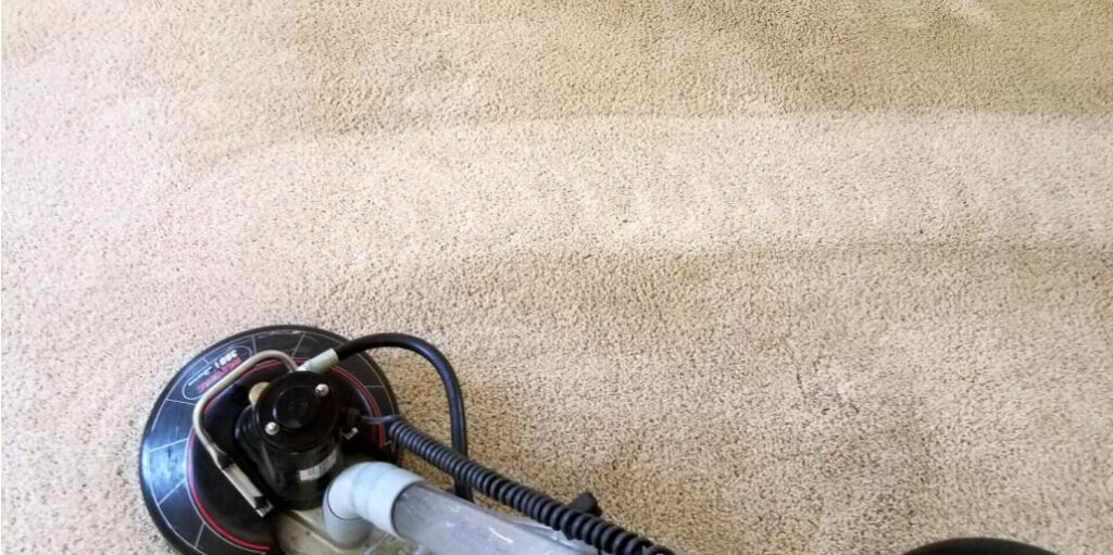 How Often Should You Clean Your Apartment’s Carpet?