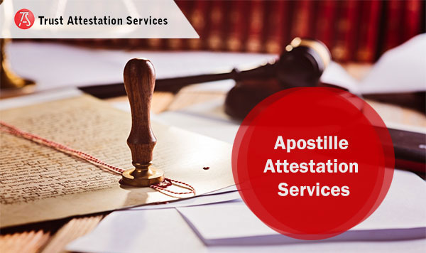 Comprehensive Guide to UAE Embassy Attestation Services
