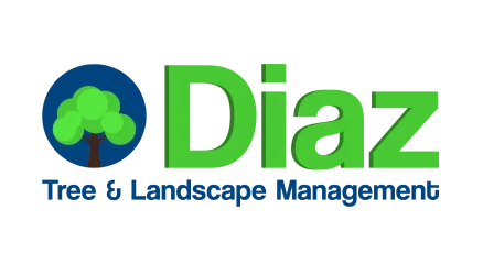 Diaz Tree and Landscape Management