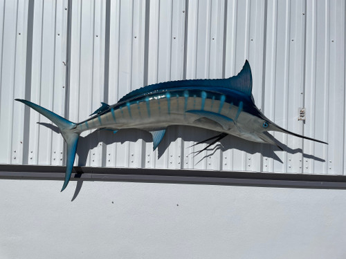Premium Fish Mounts for Sale – Elevate Your Collection