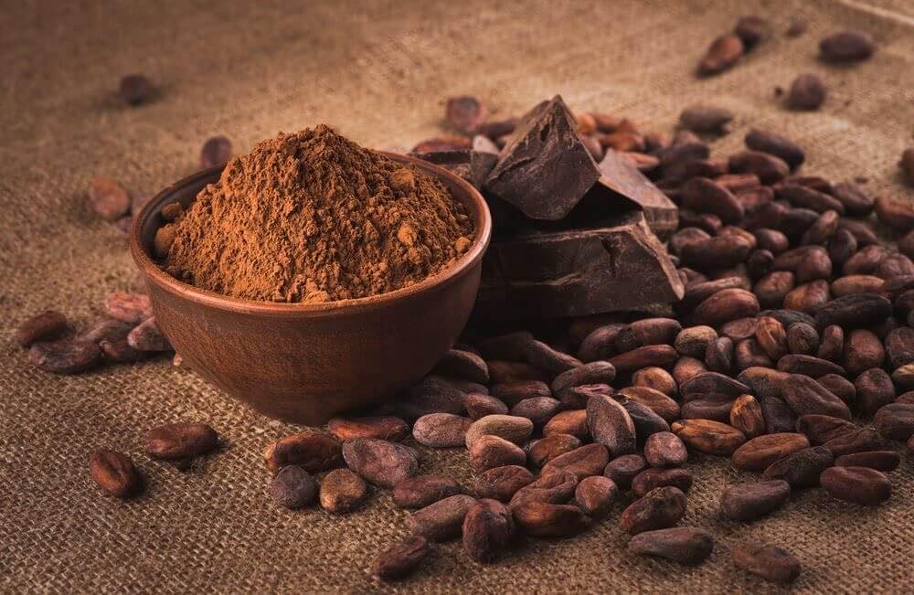 Bulk Cocoa Powder Manufacturers Indonesia | Alkalized & Dark Chocolate