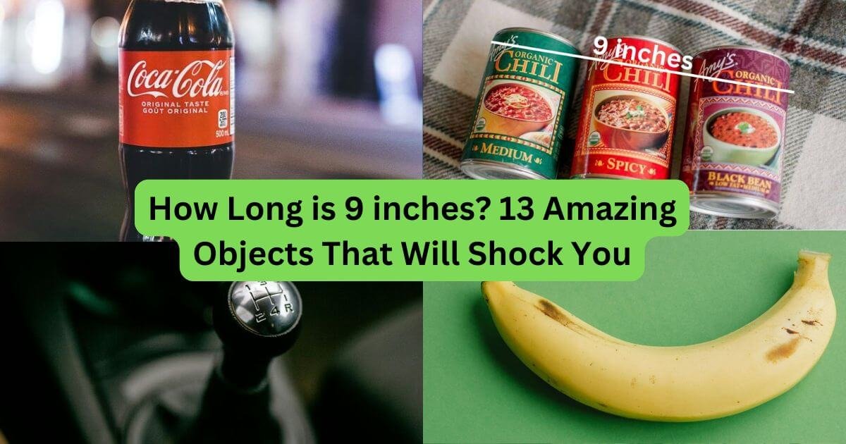 Fascinating Examples of Things That Are 9 Inches Long
