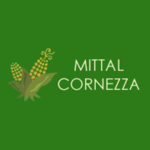 How Corn Flour Manufacturers Are Innovating for a Sustainabl