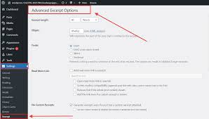 Easily Disable the WordPress Auto Excerpt