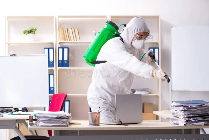 Effective Office Pest Control and Pest Control Services in P