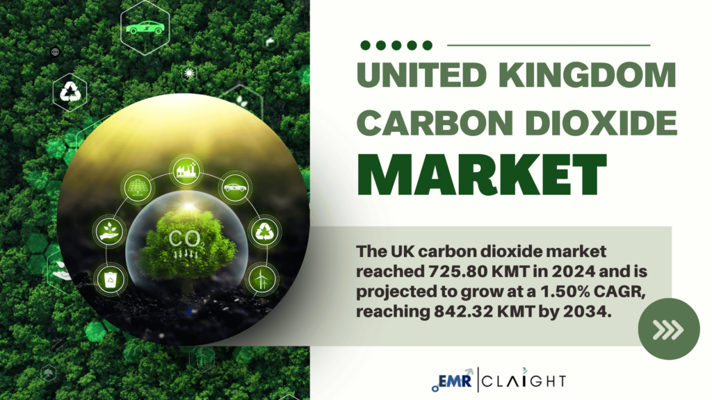 United Kingdom Carbon Dioxide Market Size, Share, Trend 2034