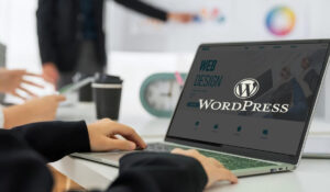 wordpress agentur braunschweig
