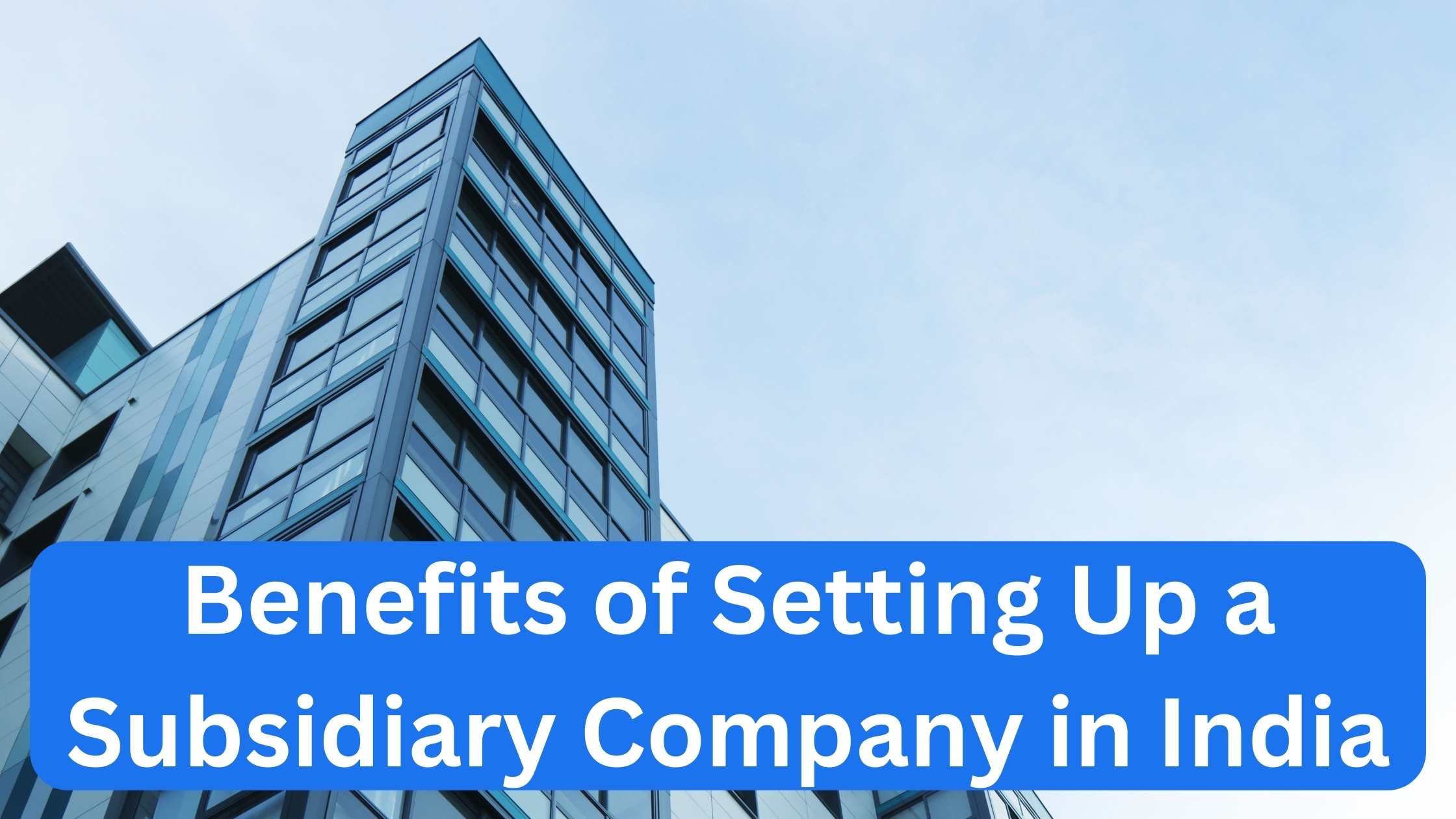 Benefits of Setting Up a Subsidiary Company in India