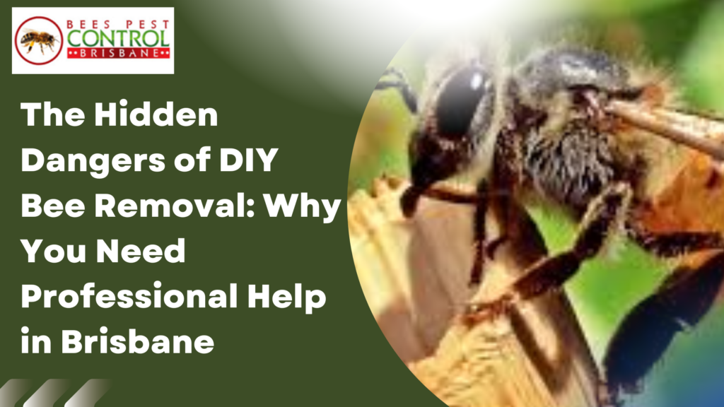 The Hidden Dangers of DIY Bee Removal: Why You Need Professi