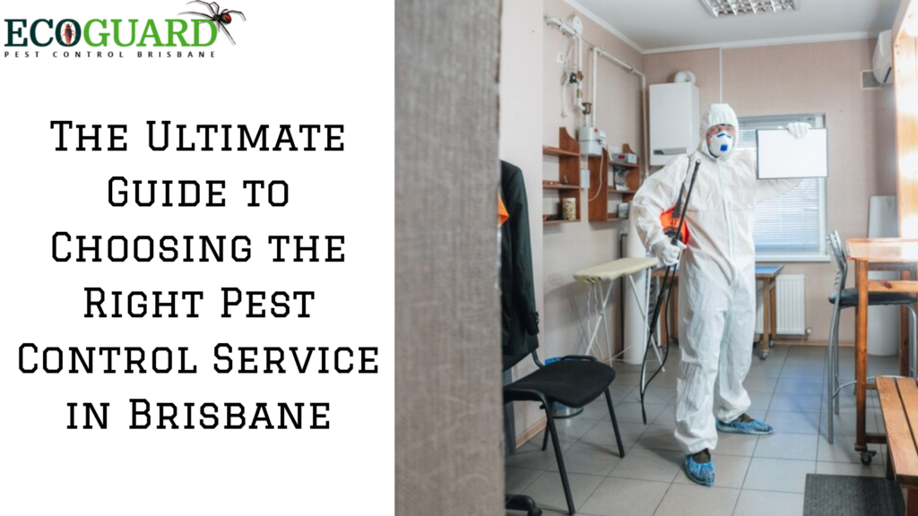 The Ultimate Guide to Choosing the Right Pest Control Servic