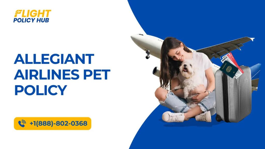 Allegiant Airlines Pet Policy: A Simple Guide for Pet Owners