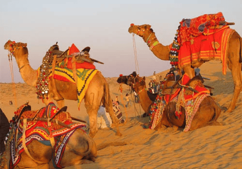 Camping Under the Stars – Desert Safari in Jaisalmer