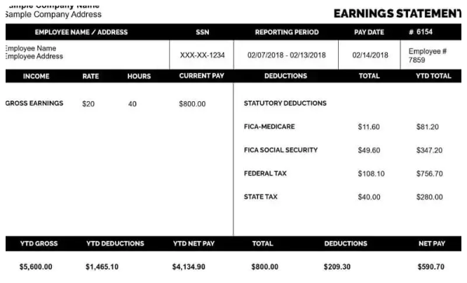 IT Professionals Can Track Earnings with a Paystub Templet