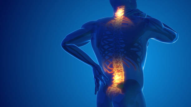 Back Pain Management: Best Exercises for Relief