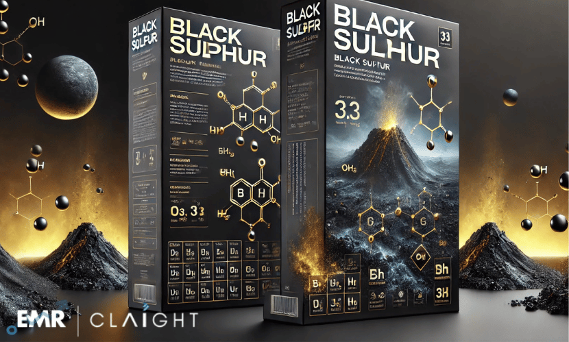 Black Sulphur Manufacturing Plant Project Report 2025