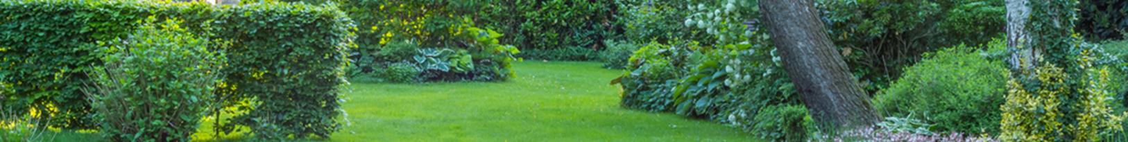 Professional Garden Maintenance in Matraville: Keep Your Garden Lush and Well-Maintained