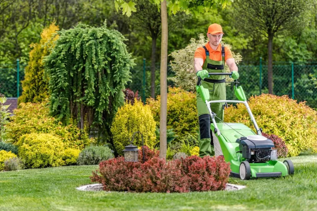 Top Trends in Commercial Landscape Services: What’s Changing