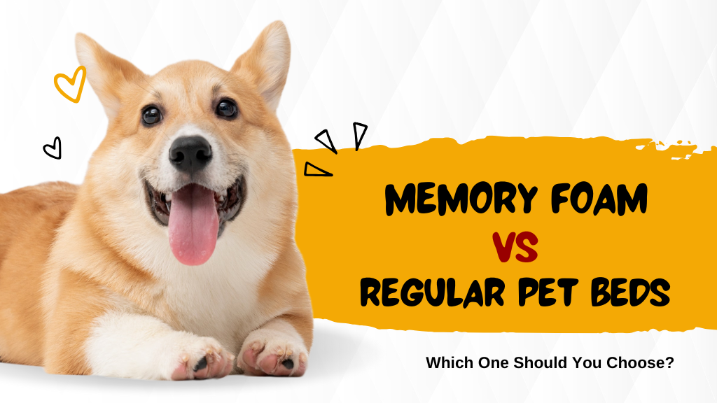 Memory Foam vs. Regular Pet Beds: Which One Should You Choos