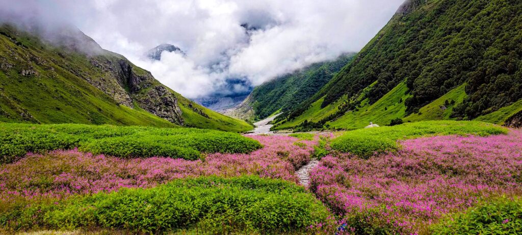 Valley of Flowers Trek | 2025