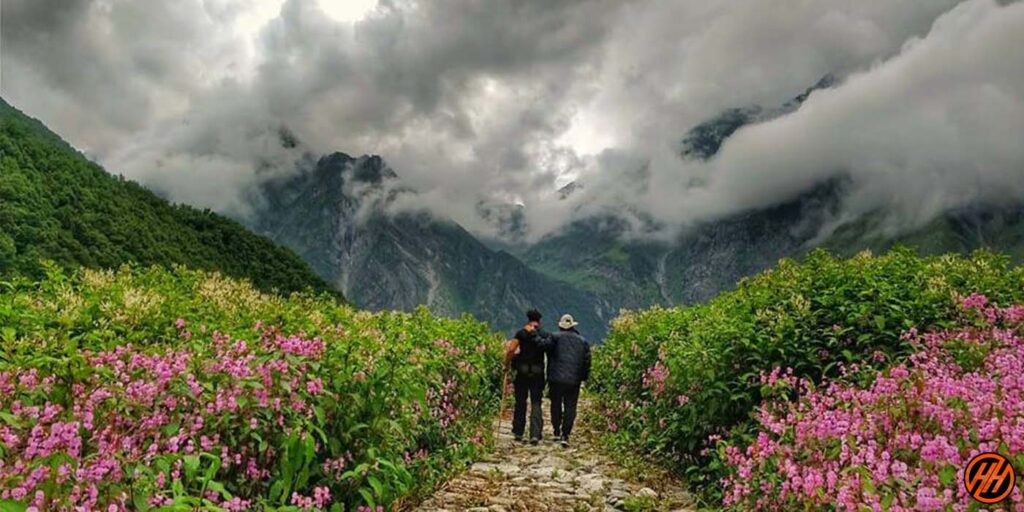 Valley of Flowers Trek Package 2025-2026