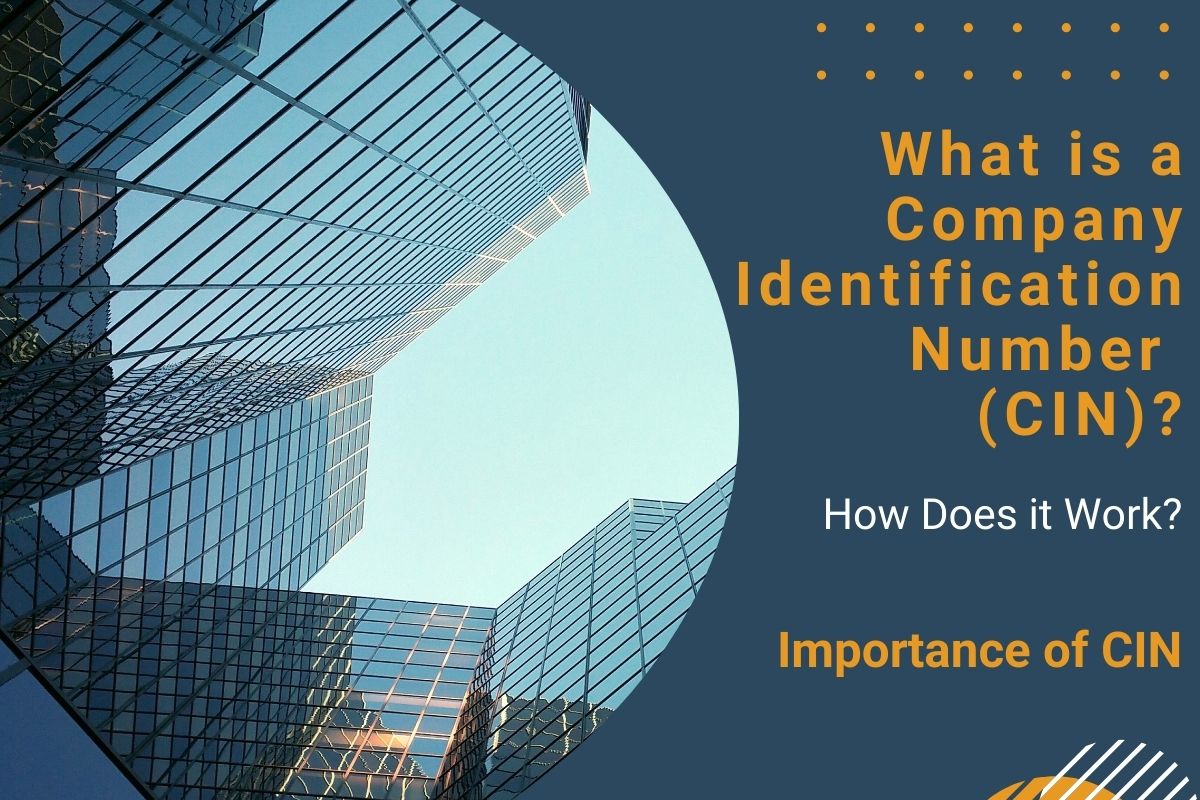 What is a Company Identification Number (CIN)? How Does it W