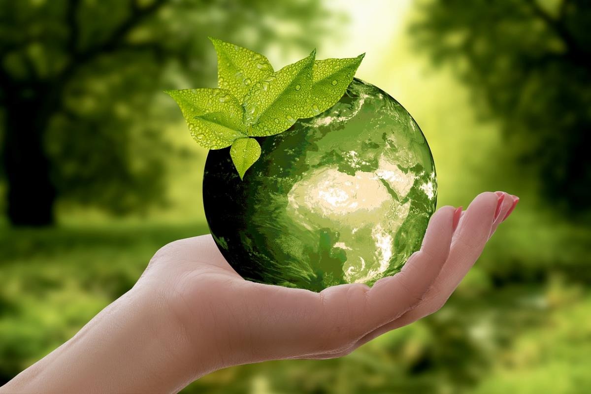 Practical Tips & Guides for a Sustainable Lifestyle