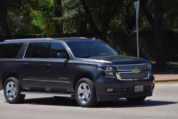 Celebrate in Style with Signature Limo LA: