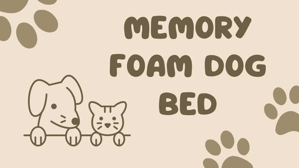 Memory Foam vs Regular Pet Beds: Which One You Choose