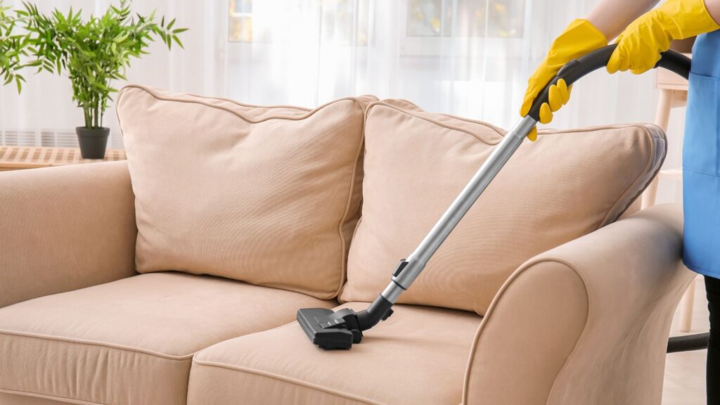 Carpet Sofa Cleaning: Why Cheap DIY Can Cost You More