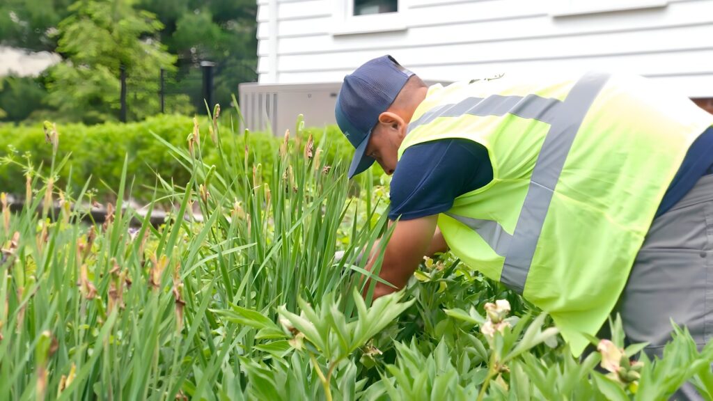 Top 10 Reasons to Hire a Commercial Landscape Contractor