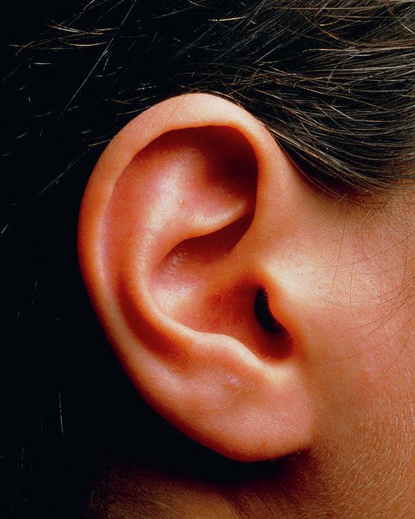 Revolutionize Your Look with Dubai Ear Reshaping