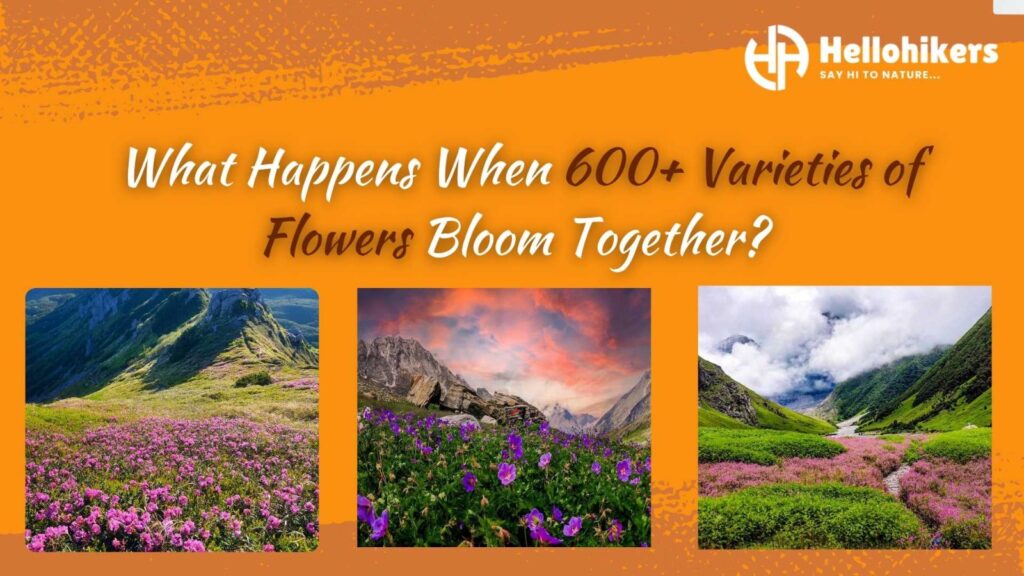 Valley of Flowers Trek 2025