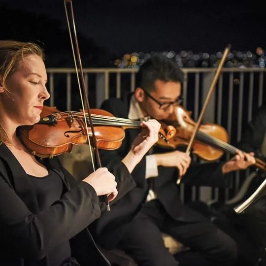 Professionals String Quartet Adelaide