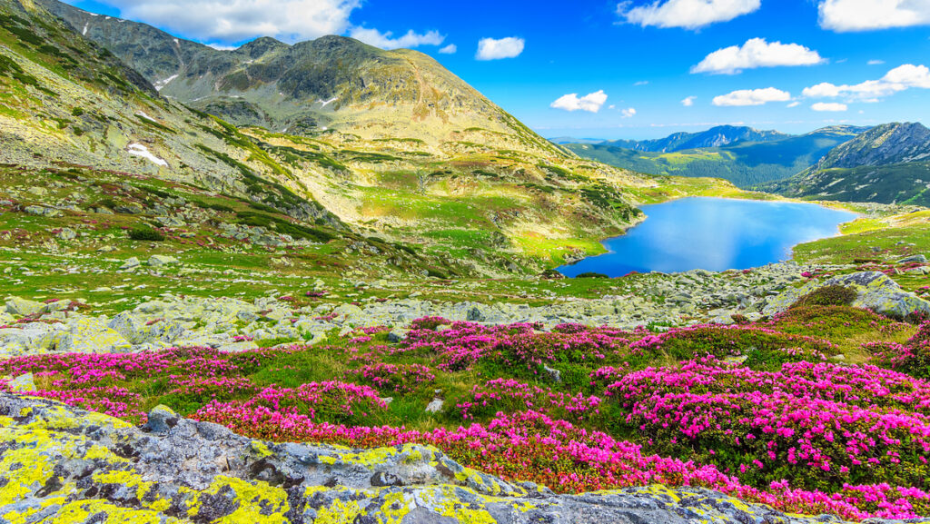 Valley of Flowers Trek in Uttarakhand